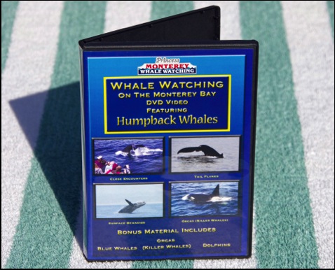 Monterey Whale Watching DVD